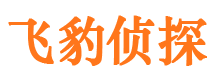 宕昌市调查公司